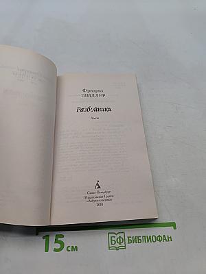 Разбойники
