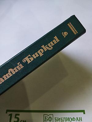 Временщики и фаворитки XVI, XVII и XVIII столетий. Сочинение Кондратия Биркина. Том 1