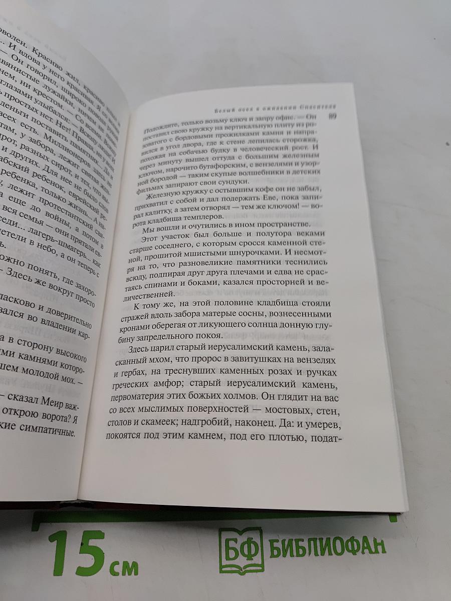 Ручная кладь