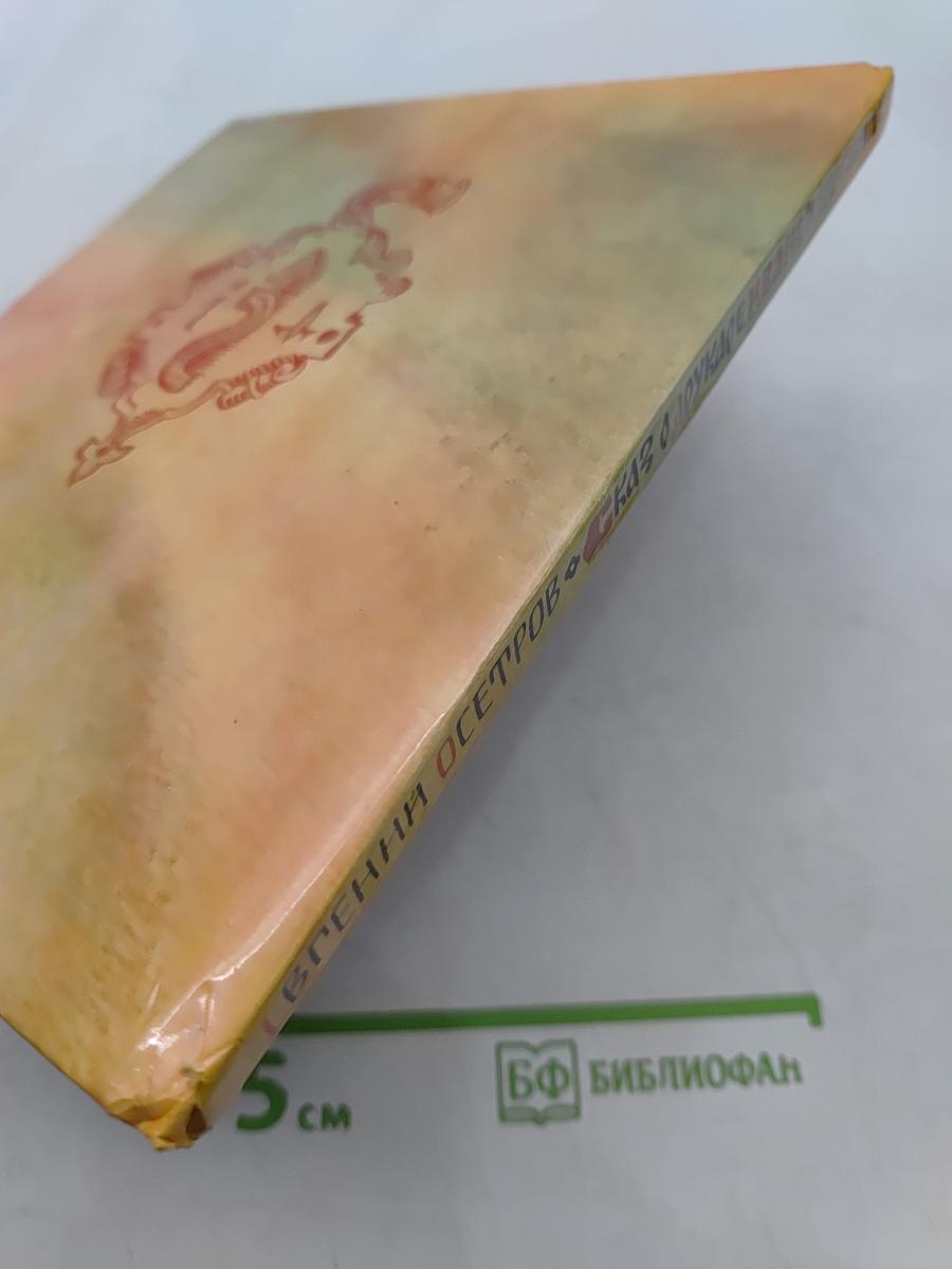 Сказ о Одирукаре Иване и его книгах