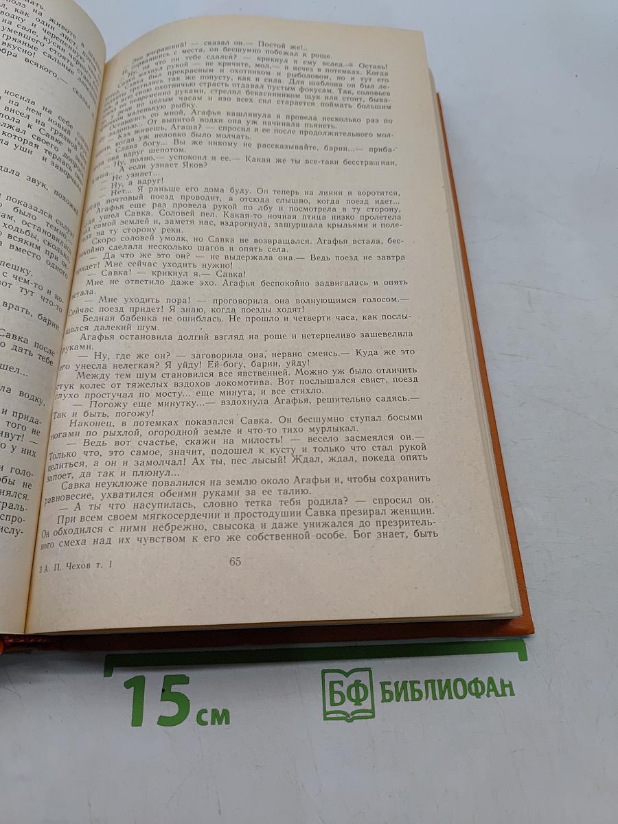 Сочинения в двух томах. Том I. Повести и рассказы
