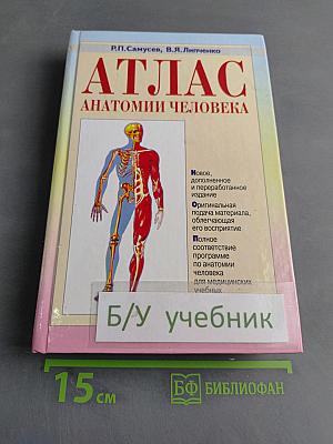 Атлас анатомии человека