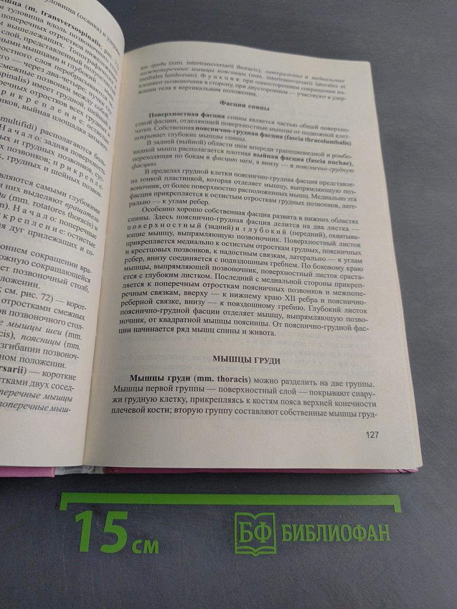 Атлас анатомии человека