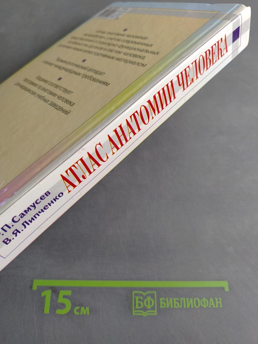 Атлас анатомии человека