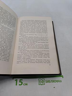 Собрание сочинений. Том двадцать второй. Четверо Евангелие