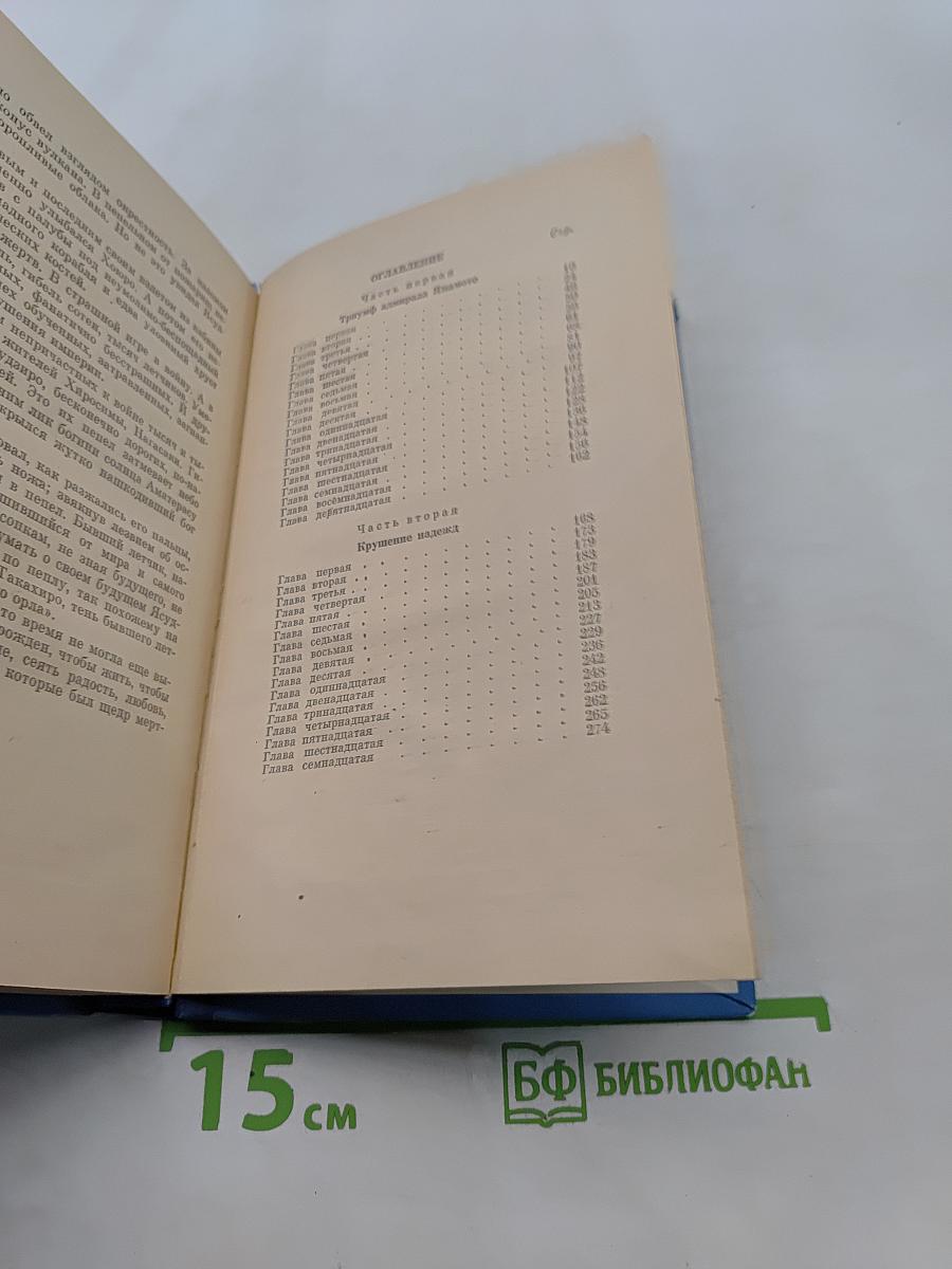 Последний камикадзе