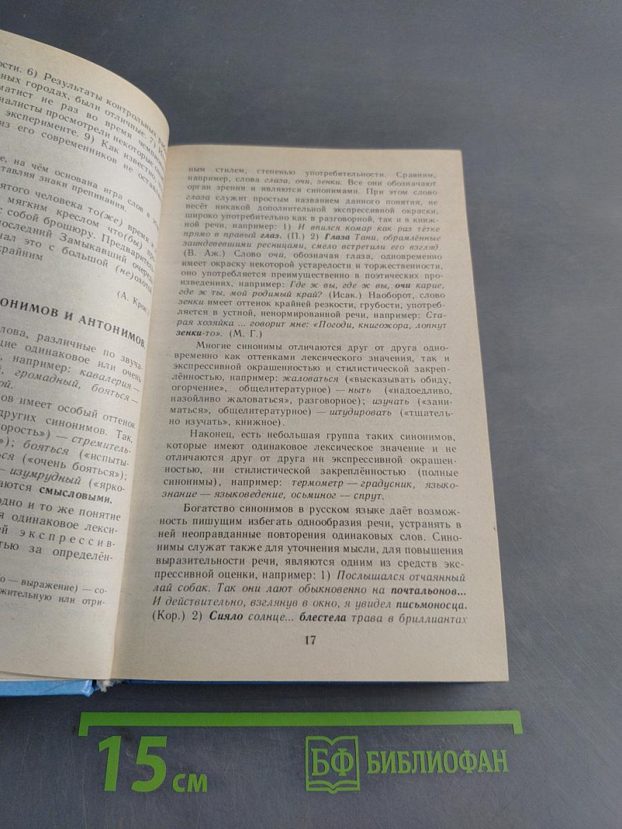 Русский язык. Теория и практика