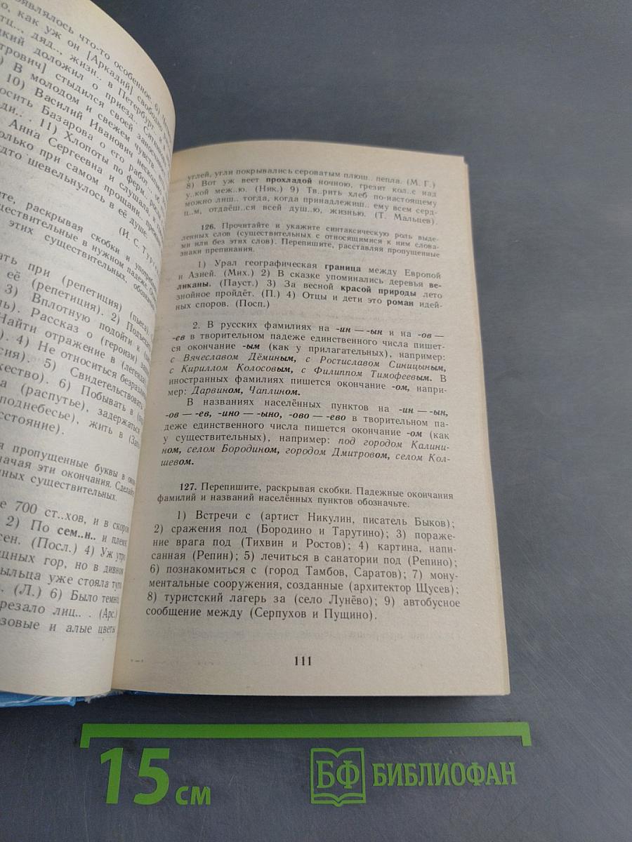 Русский язык. Теория и практика