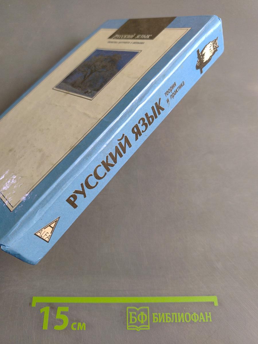 Русский язык. Теория и практика