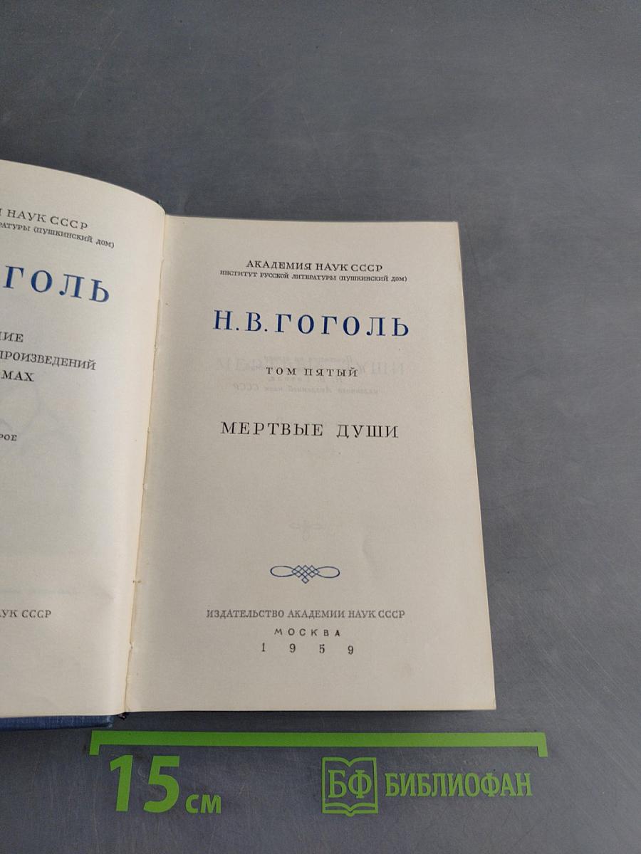 Мертвые души. Том пятый