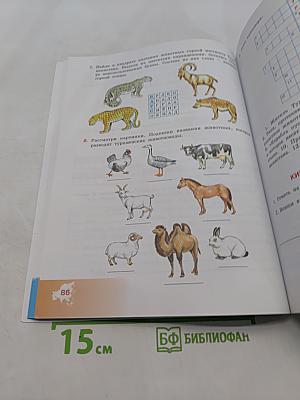 География. Рабочая тетрадь. 9 класс