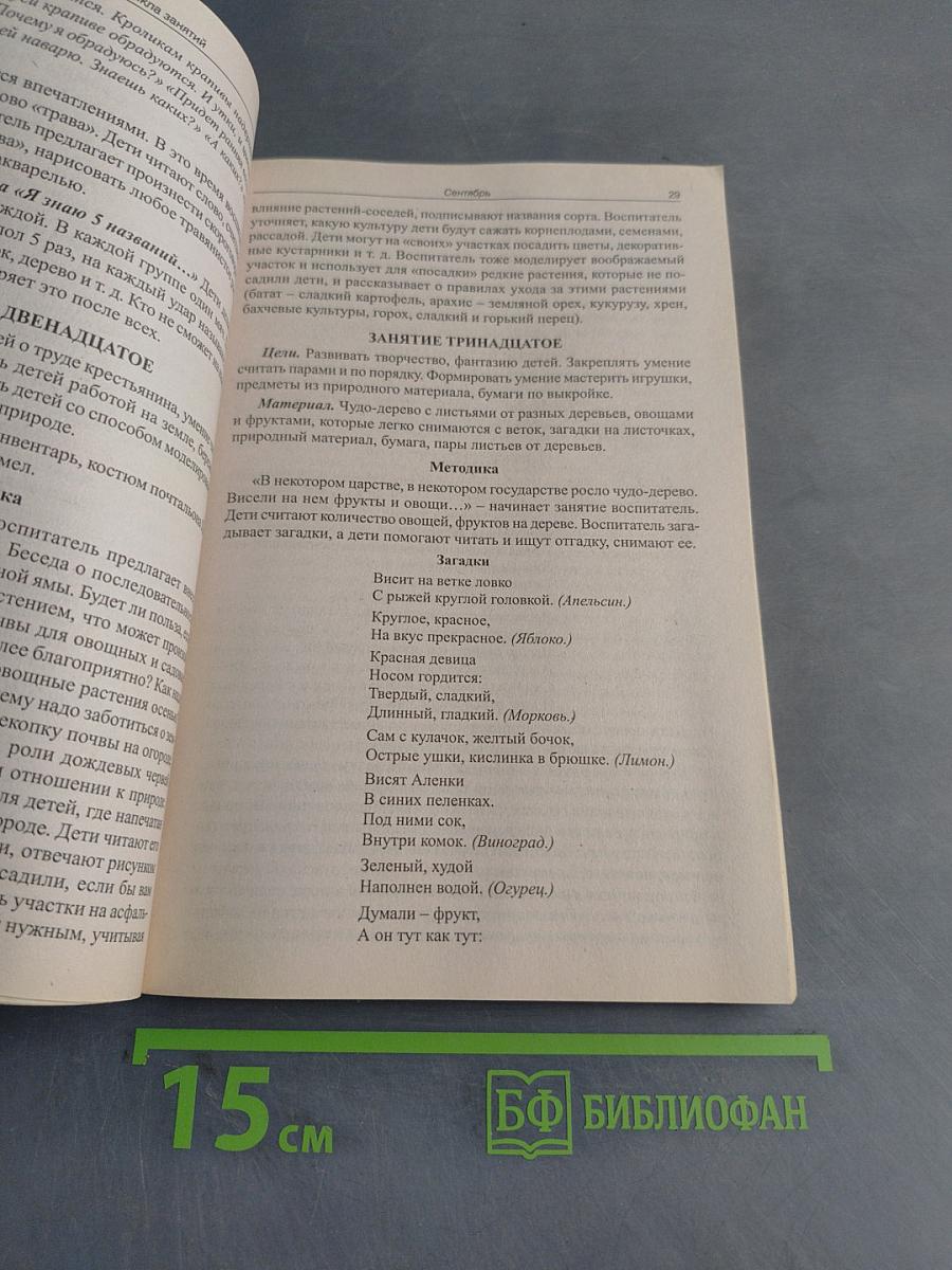 Сценарии занятий по комплексному развитию дошкольников. Подготовительная группа