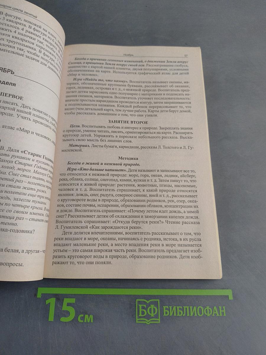 Сценарии занятий по комплексному развитию дошкольников. Подготовительная группа