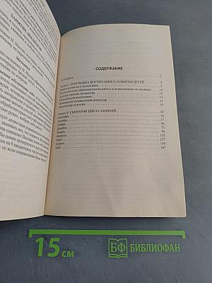 Сценарии занятий по комплексному развитию дошкольников. Подготовительная группа