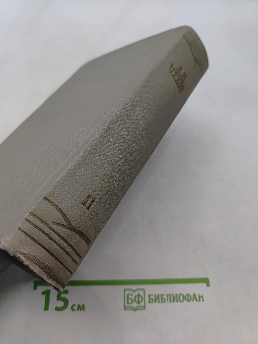 Собрание сочинений. Том одиннадцатый. Письма 1877-1892