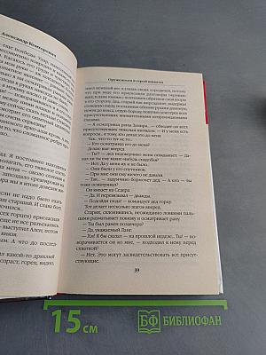 Оруженосец в серой шинели