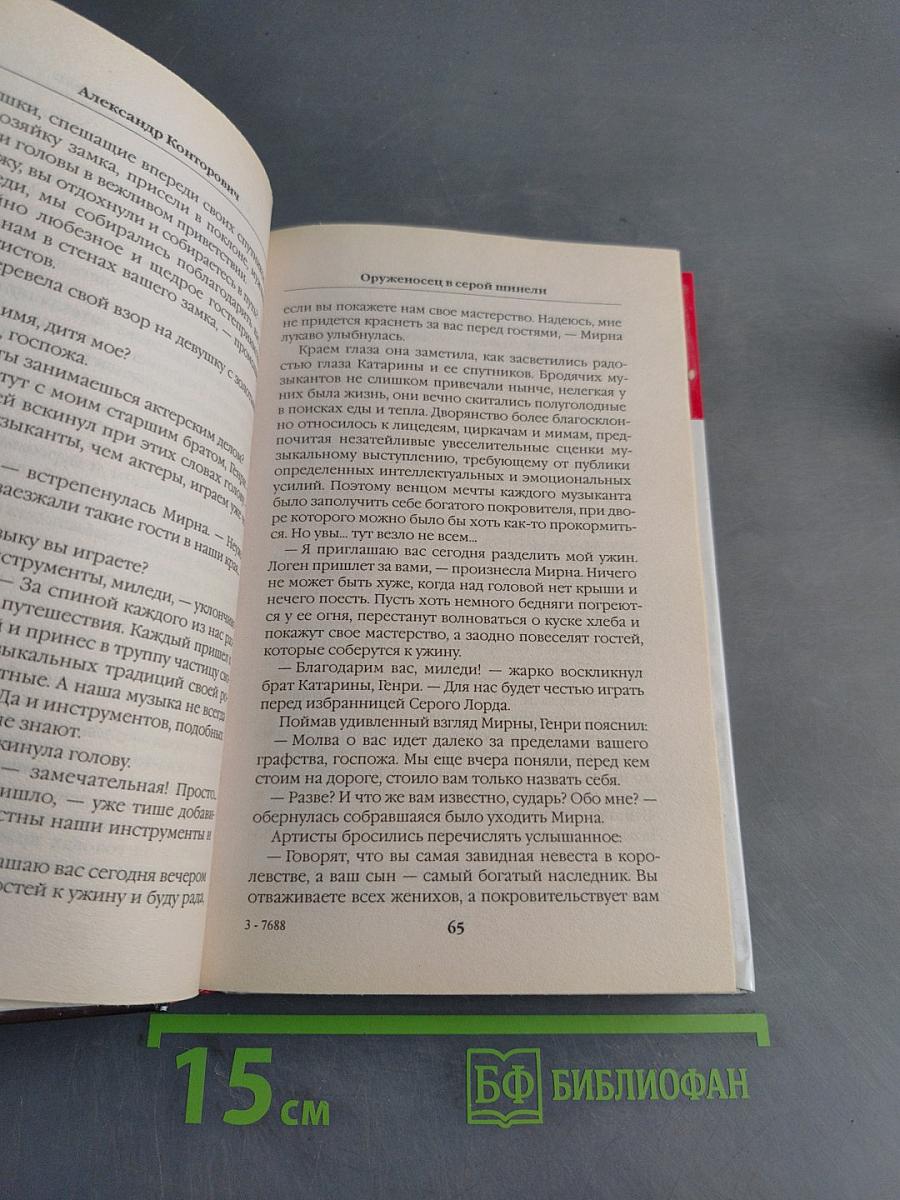 Оруженосец в серой шинели
