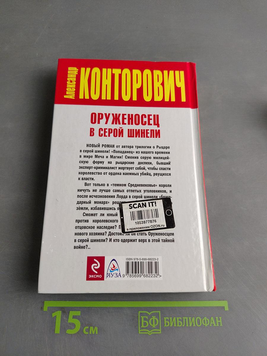 Оруженосец в серой шинели