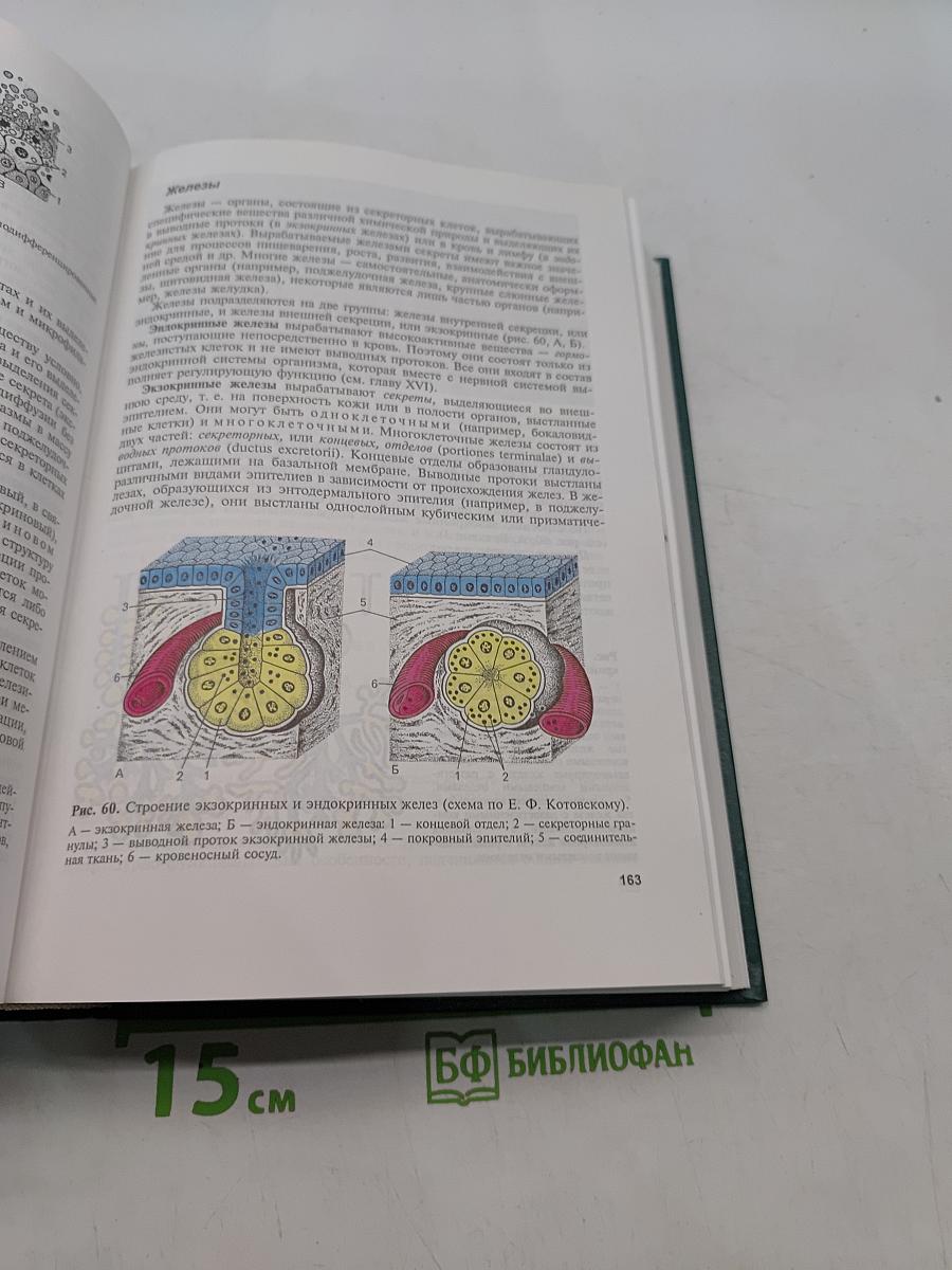 Гистология, цитология и эмбриология