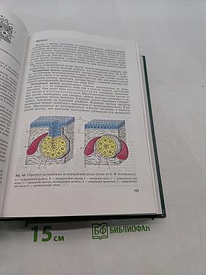 Гистология, цитология и эмбриология