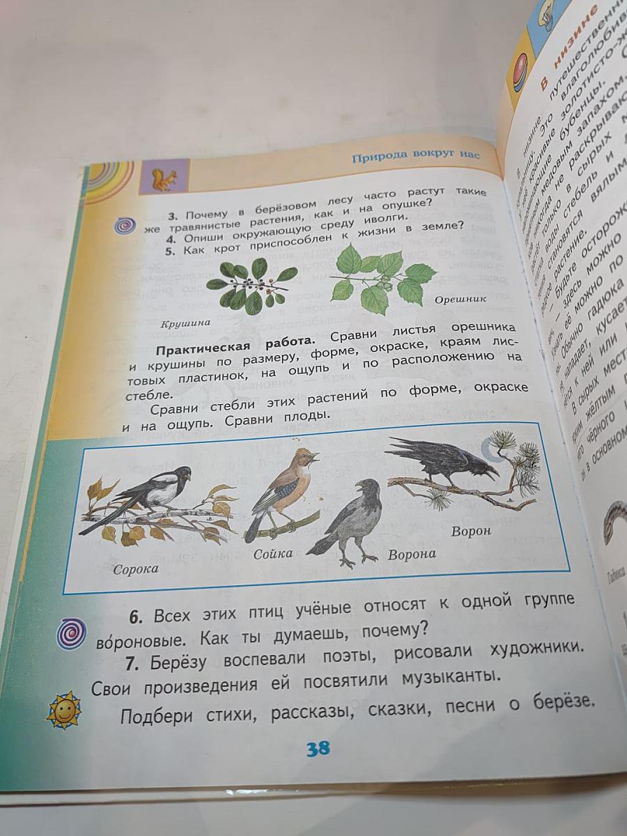Окружающий мир. 2 класс. Часть 2