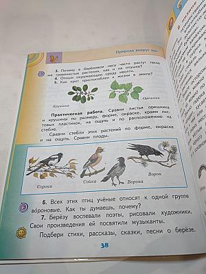 Окружающий мир. 2 класс. Часть 2