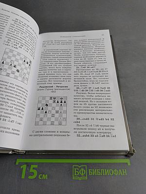 Основы шахматной стратегии