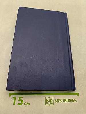 На южном приморском фланге