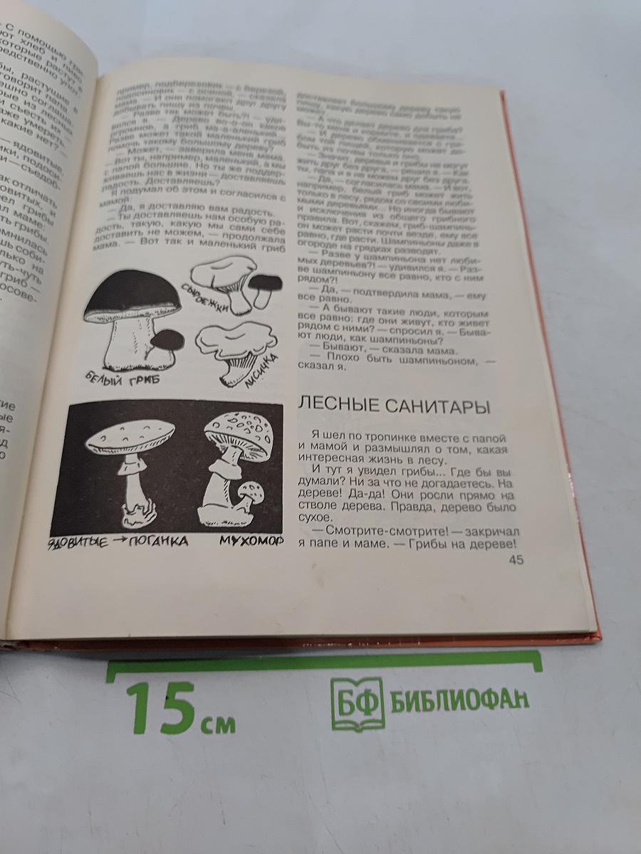 По следам Почемучки