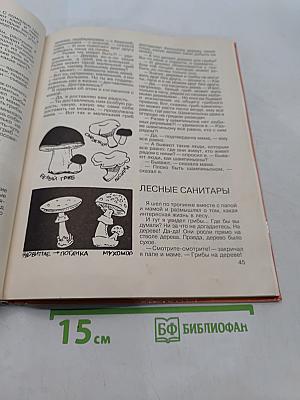 По следам Почемучки