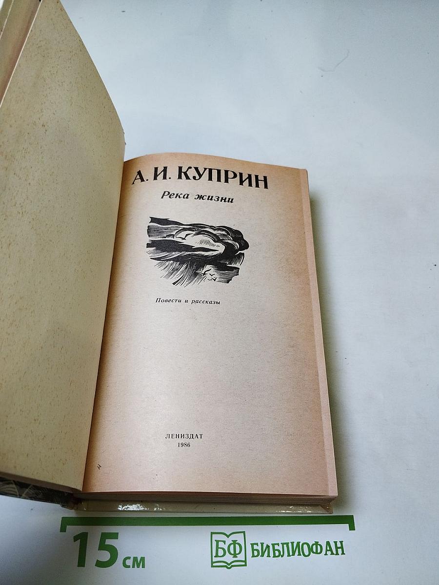 Река жизни. Повести и рассказы