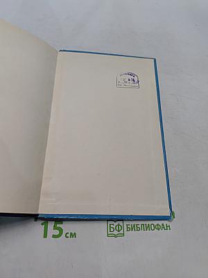 Можно ли стать Робинзоном?