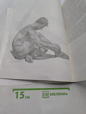 Полное руководство по рисованию фигуры человека