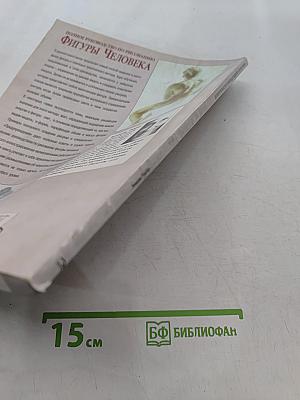 Полное руководство по рисованию фигуры человека