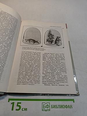 Стеклянные листья