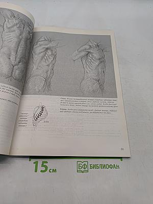 Обнаженная натура. Искусство рисования человеческого тела