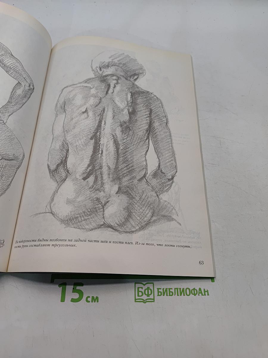 Обнаженная натура. Искусство рисования человеческого тела