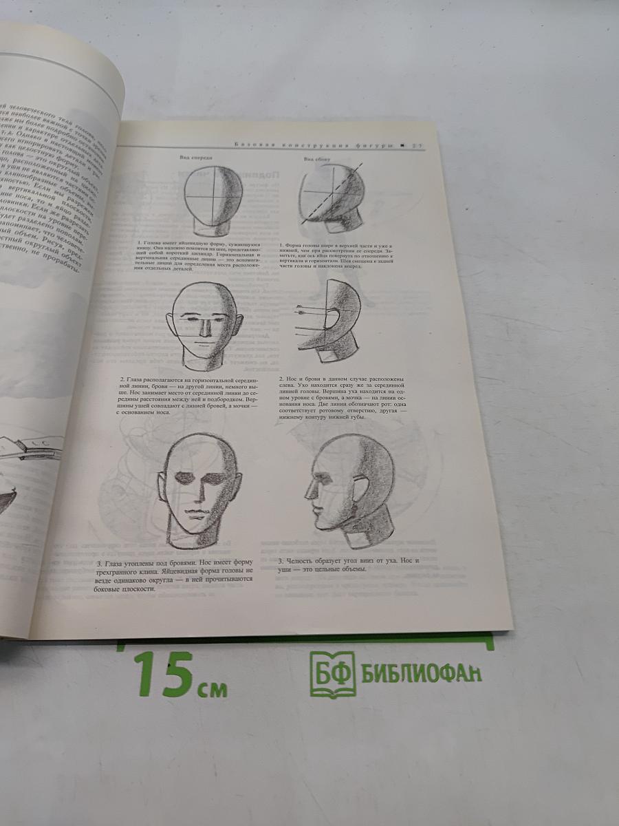 Фигура. Методика рисования и построения