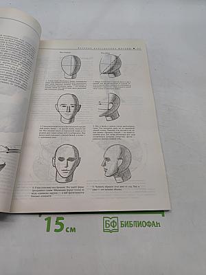 Фигура. Методика рисования и построения