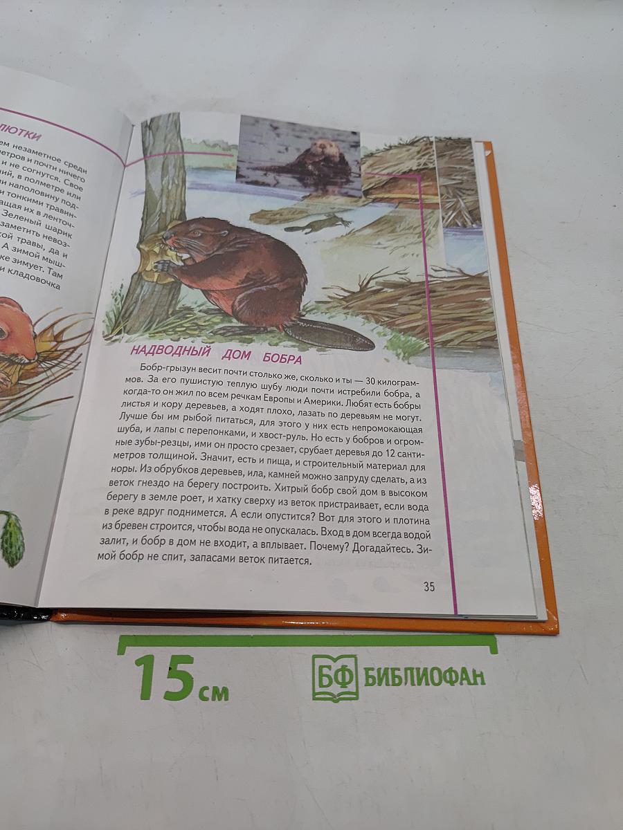 Кто и как в мире животных строит