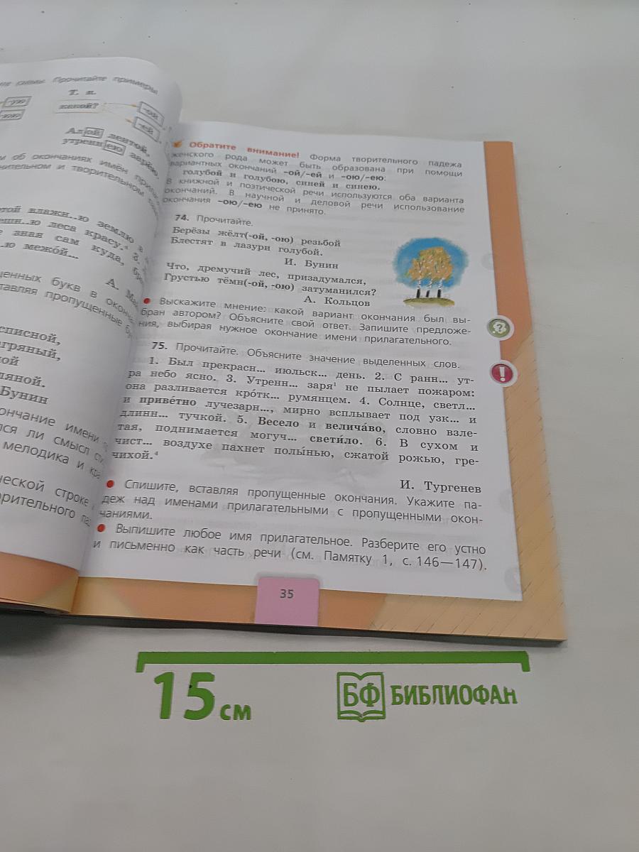 Русский язык. 4 класс. Часть 2