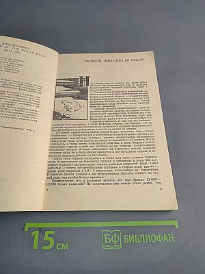 Мир белого медведя