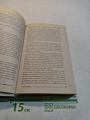 Ричард. Длинные руки – пфальцграф