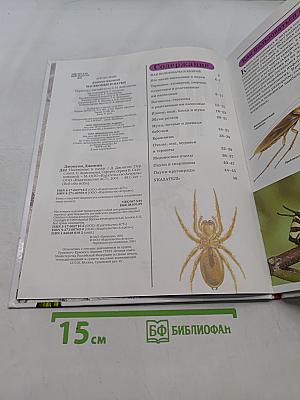 Всё обо всём. Насекомые и пауки