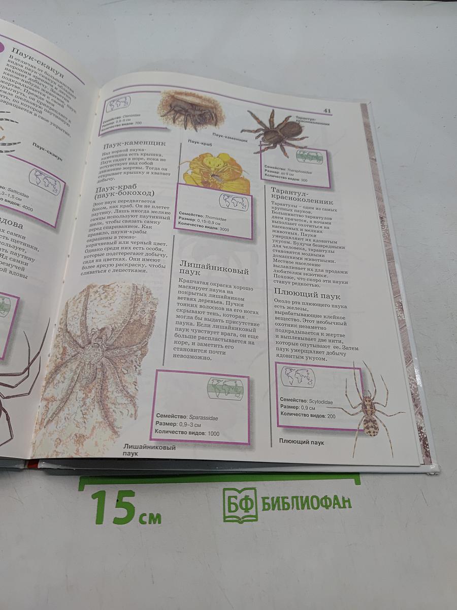 Всё обо всём. Насекомые и пауки