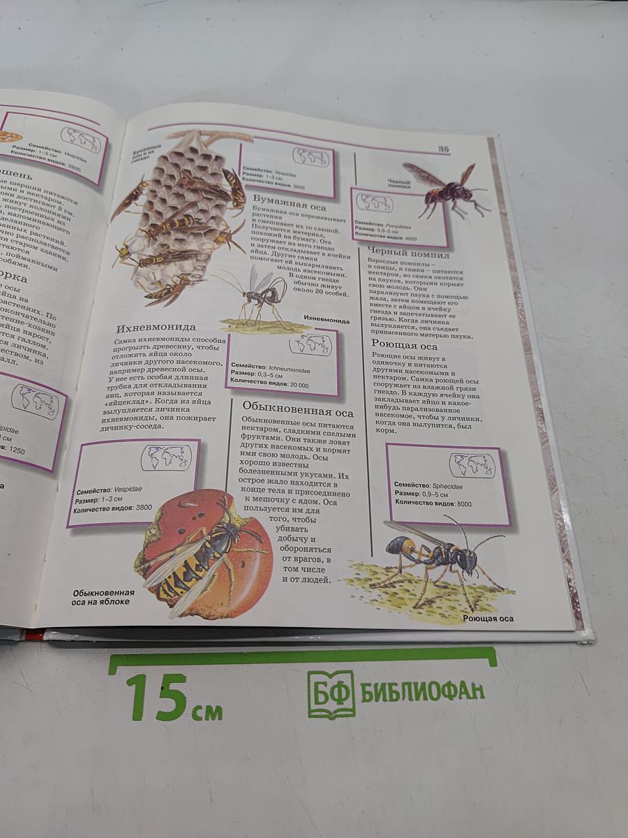 Всё обо всём. Насекомые и пауки