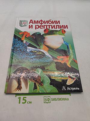 Амфибии и рептилии