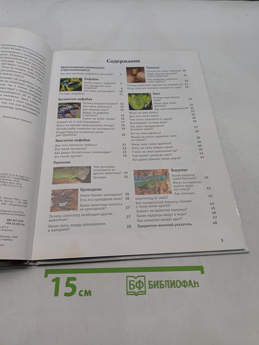 Амфибии и рептилии