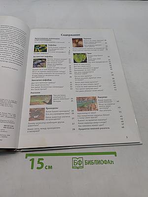 Амфибии и рептилии