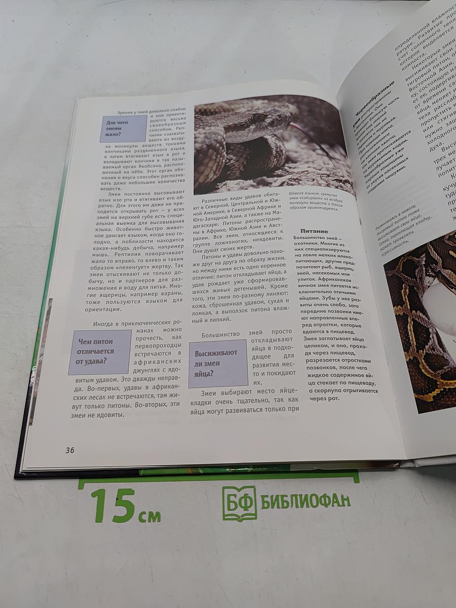 Амфибии и рептилии